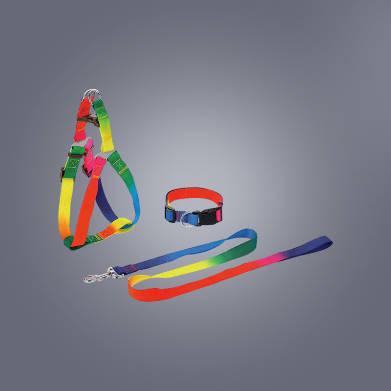 SLL102 Juego de correa y collar con arnés para mascotas de nailon arcoíris