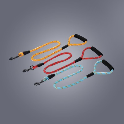 ¡Cómo las correas para perros de nylon hacen que los paseos húmedos maravillosos!